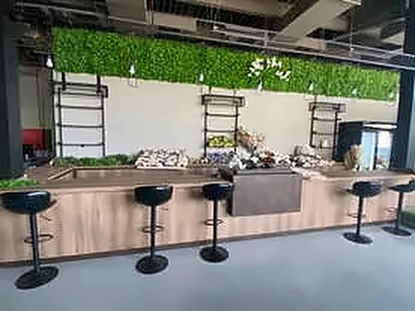 Bar counter with stools and a planted green fascia
