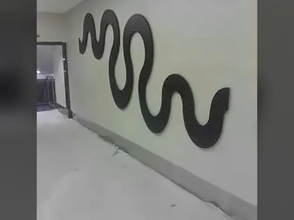 Black wave-shaped wall artwork in a cinema corridor